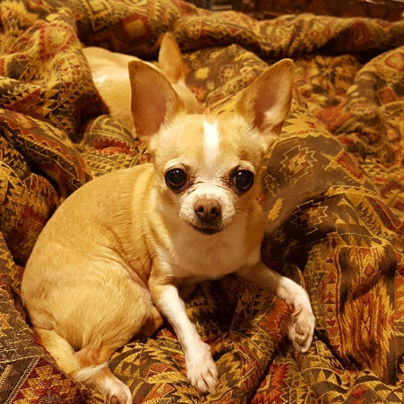 Meet your Posher, Jane - Picture 1 of 1